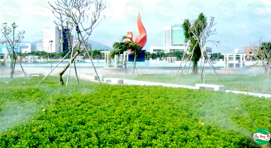 Tưới tự động công viên Chim Việt - Vũng Tàu