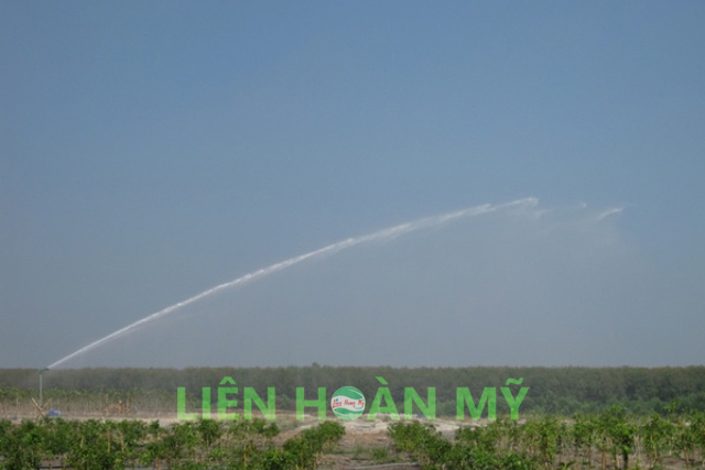 Hệ thống tưới cho vườn ươm